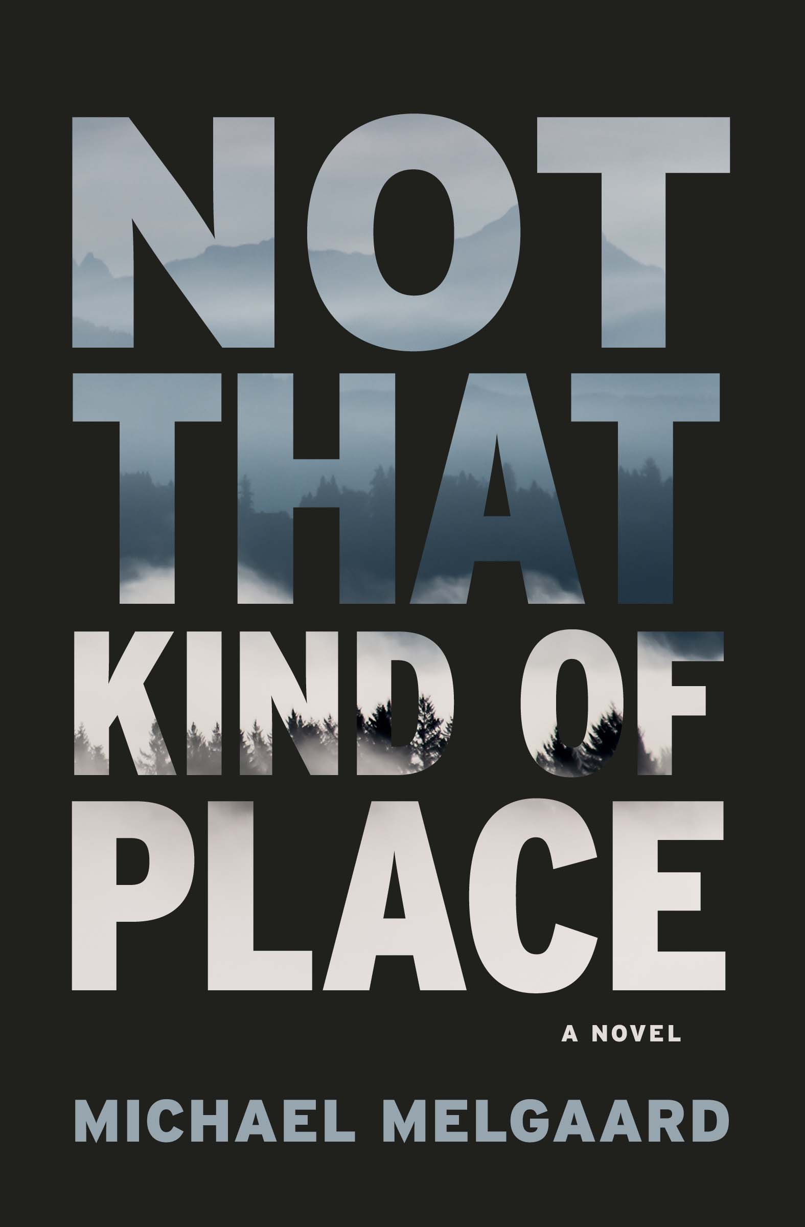 cover of the book Not that Kind of Place